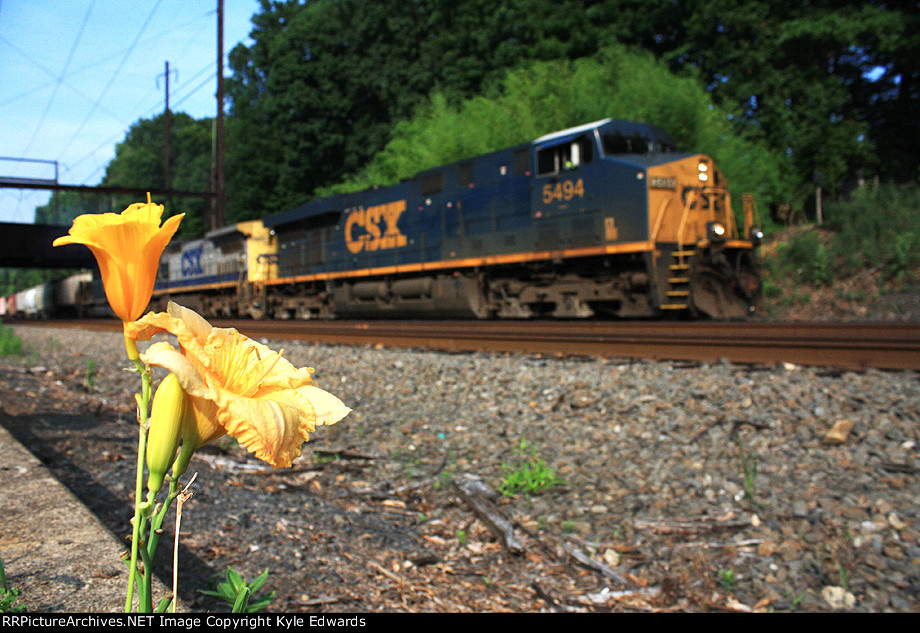 CSX ES40DC #5494 on Q439